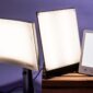 Light Therapy Lamp